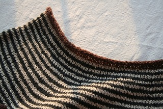 IMG_7264 IMG_7264