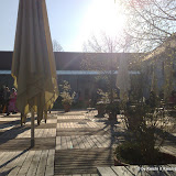 18042009104_NLT.jpg