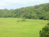 vende se fazenda sitio pedra de una ilheus bahia