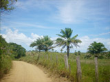 vende se fazenda 385 ha una ilheus bahia
