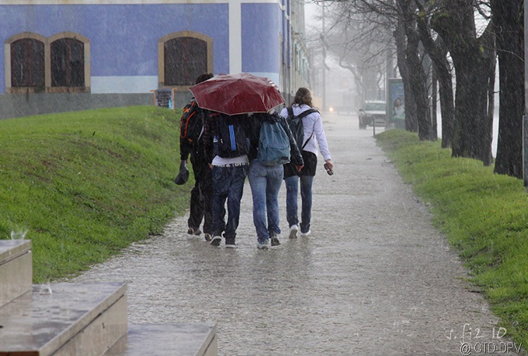 [pedipaper belém 23fev10 058 copy[2].jpg]