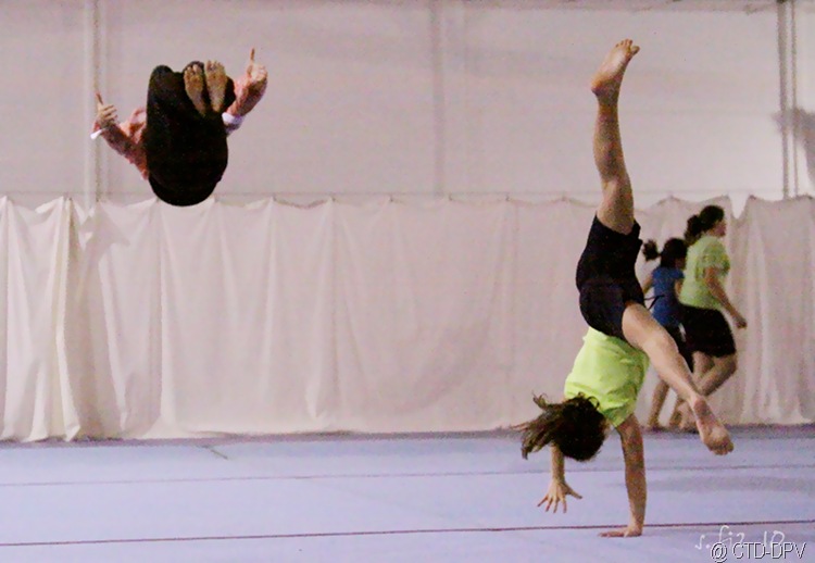 [sarau dpv 038 copy[2].jpg]