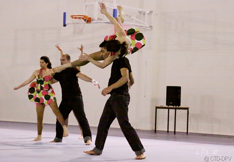 [sarau dpv 250 copy[2].jpg]