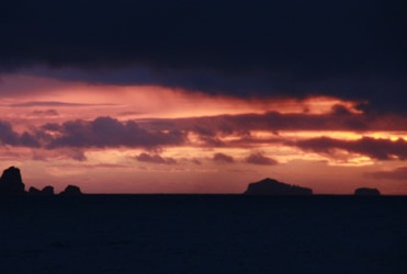 [IMG_11263.jpg]
