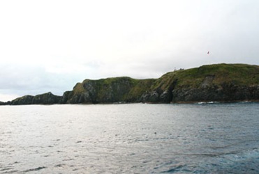 [IMG_11496.jpg]