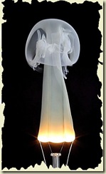 581204-Ghost