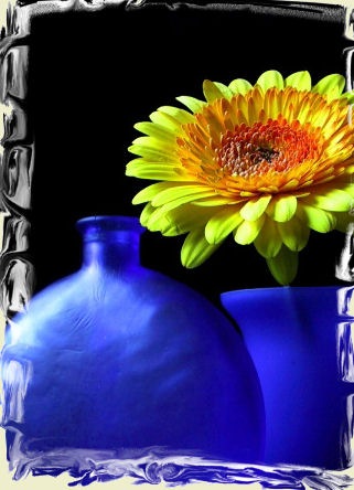 [238213-Blue &amp; Yellow[4].jpg]