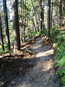 Trail 02