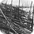 http://lh3.ggpht.com/_AKzG9HFzxqo/S4wcbLP6WXI/AAAAAAAABeY/dp7hxfDklq8/s800/tunguska.png