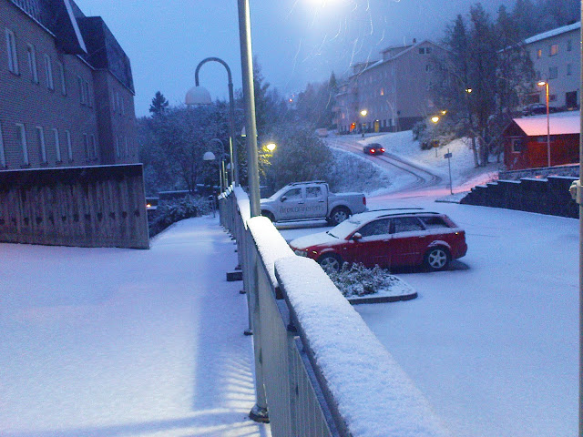Snöstorm