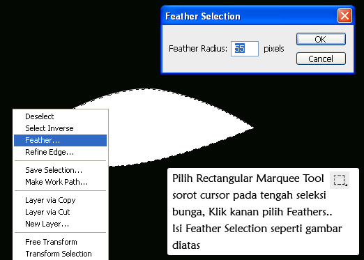 Feather Selection
