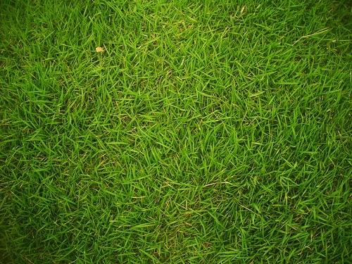 Grass-1 Grass-1