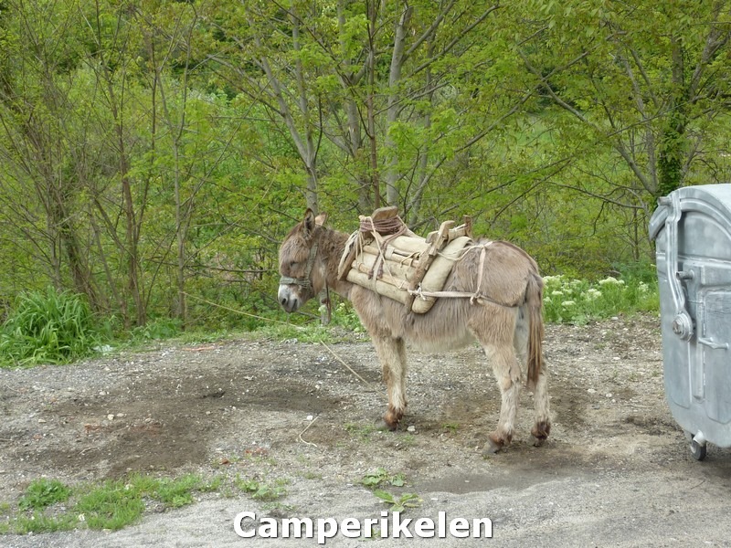 [Bulgarije07[3].jpg]