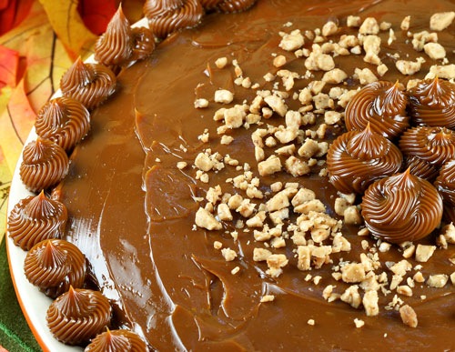 [pumpkincheesepie22.jpg]