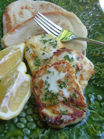 [Haloumi-BelliniValli[3].jpg]
