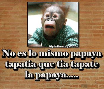 Imagenes Groseras Y Frases | im 225 genes con frases groseras para dedicar frases amor Imagenes Groseras Y Frases | im 225 genes con frases groseras para dedicar frases amor