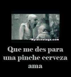 frases groseras (7) frases groseras (7)