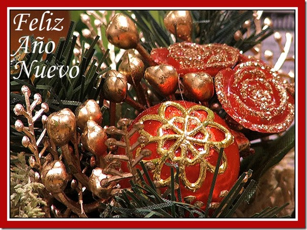feliz año nuevo (13) feliz año nuevo (13)
