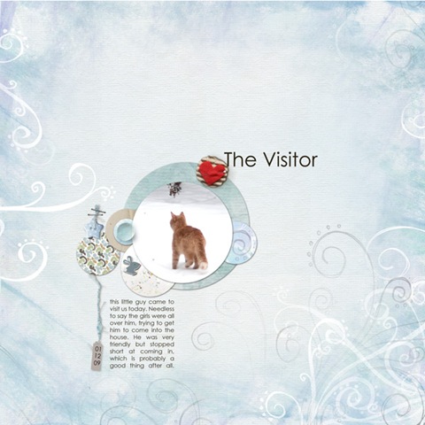 [The-visitor[2].jpg]