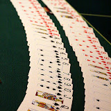 IMG_9043.jpg