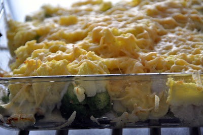 Broccoli Ovenschotel