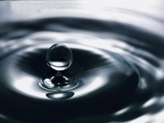 gota