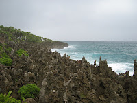 Date: December 2003
Location: Roatan Island, Honduras
These rocks are the result of volcanic lava meeting the ocean. You can see the shapes of the waves as the two forces met. The rocks are incredibly sharp. As you can see, there is vegetation growing in some of the nooks and crannies. Date: December 2003
Location: Roatan Island, Honduras
These rocks are the result of volcanic lava meeting the ocean. You can see the shapes of the waves as the two forces met. The rocks are incredibly sharp. As you can see, there is vegetation growing in some of the nooks and crannies.