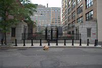 DSC_5685.jpg DSC_5685.jpg