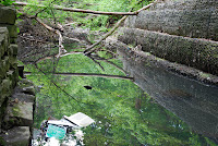 Man Made - Man Polluted

This picture was taken in the ravine located at St Clair and Mount Pleasant in Toronto.

Someone abandoned a computer monitor at the bottom left corner. Parts of the monitor moved the next day further downstream.

This ravine is part of an extensive system that makes up this city. Parts of it are man-enhanced as is this part. The trick, of course, is to tell where the water line is. Short of putting an arrow, I can do little to help with that. The refelction of the overhanging trees should help.