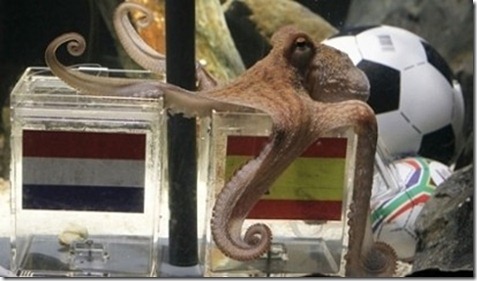 psychic-octopus chooses