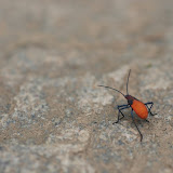 Another fellow - I don't know his name :(