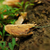 ...Life...