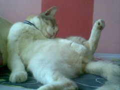 myimage182