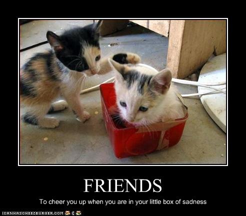 [funny-pictures-kitten-has-friends[3].jpg]