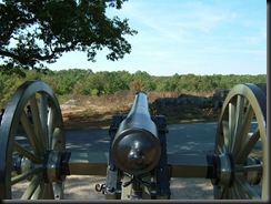 Parrot Gun at Devil's Den