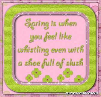 spring14 spring14