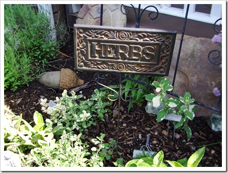 herb garden june09 006