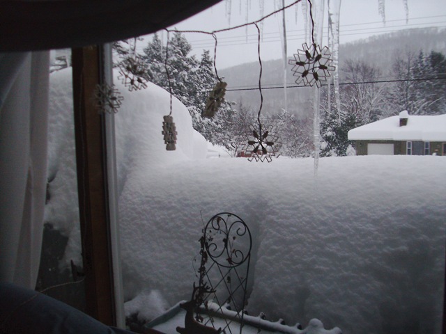 [more big snow 2010 010[4].jpg]