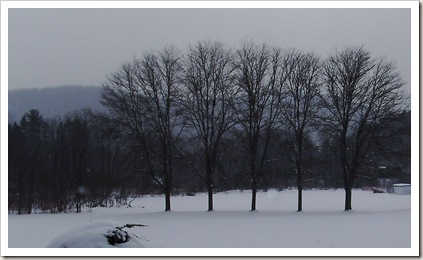 cold winter 2010 002 cold winter 2010 002