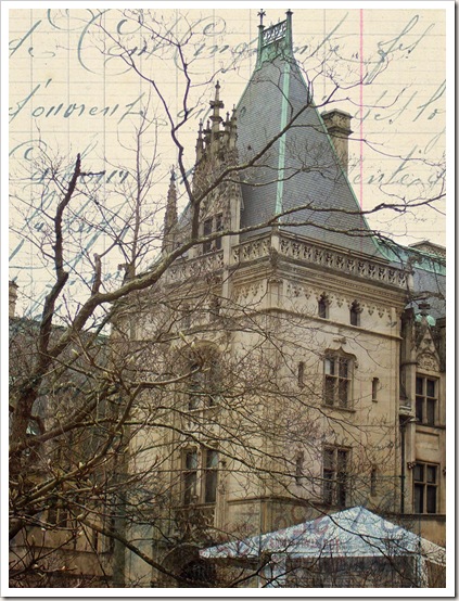 biltmore french writing biltmore french writing