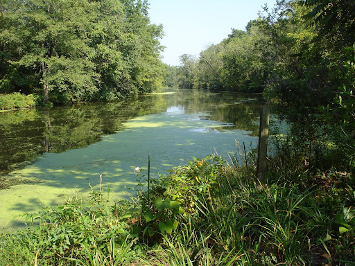 From bridge tender's house, upstream