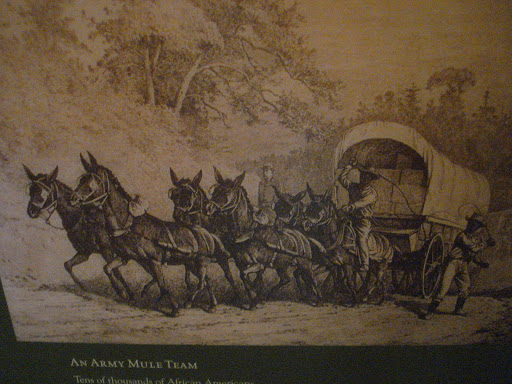 Army Mule Team