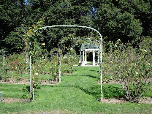 Rose Garden