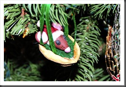 BrnMouse