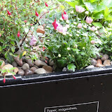 2010-08-23 Recycled planters