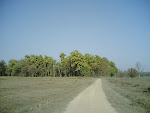 Kanha Road2.jpg