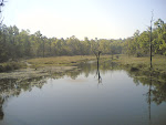 Kanha.jpg