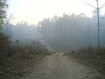 Kanha Drive4.jpg