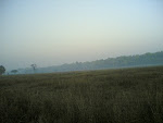 Kanha Meadow7.jpg