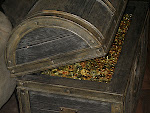 IMG_0759.JPG